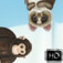 iPhone/iPadアプリ「Animals Match HD」のアイコン